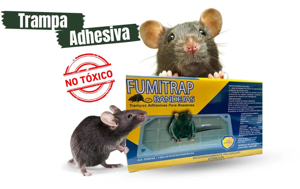 Fumitrap Bandeja